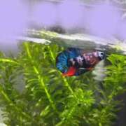 ヒメ日記 2026/03/05 09:53 投稿 みつき 秋葉原コスプレ学園in仙台