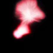 ヒメ日記 2025/10/25 20:24 投稿 姫乃もえ‎ エクレア