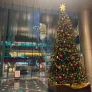 ヒメ日記 2025/12/25 05:29 投稿 ゆの 深海魚