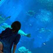 ヒメ日記 2025/12/02 11:44 投稿 莉乃(リノ)【秘めた色香】 美魔女コレクション別府店