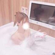 ヒメ日記 2025/10/18 20:44 投稿 寧々【ねね】 ギャルズネットワークネクスト 京都