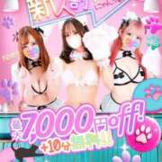 ヒメ日記 2025/10/03 13:46 投稿 迷子の仔猫ココにゃん にゃんだ☆full☆MIX（にゃんだふるみっくす）