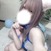 迷子の仔猫ココにゃん 今日も元気に出勤‼️ にゃんだ☆full☆MIX（にゃんだふるみっくす）