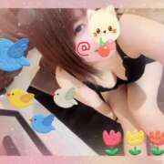 ヒメ日記 2025/12/28 12:15 投稿 八代なこ ワイフの楽園