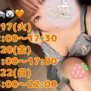 ヒメ日記 2026/03/16 10:56 投稿 八代なこ ワイフの楽園