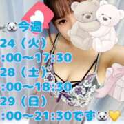 ヒメ日記 2026/03/23 11:48 投稿 八代なこ ワイフの楽園