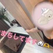 ヒメ日記 2026/08/21 00:53 投稿 八代なこ ワイフの楽園