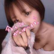 ヒメ日記 2025/10/23 07:57 投稿 みこと マリン池袋北口駅前店