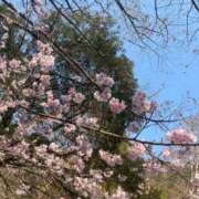 ヒメ日記 2026/03/08 09:49 投稿 りいな 豊満倶楽部