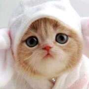 ヒメ日記 2026/02/19 11:01 投稿 ねね️️️ エクレア