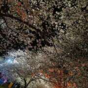 ヒメ日記 2026/04/11 14:51 投稿 りおな‪️ エクレア