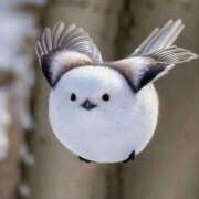 ヒメ日記 2026/02/08 12:21 投稿 たま️ エクレア