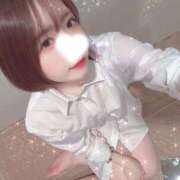 はるこ（ダーリング） 久しぶりYシャツ！ Yシャツと私