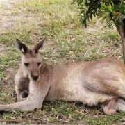 ヒメ日記 2025/10/22 10:30 投稿 はんな ふぞろいの人妻たち