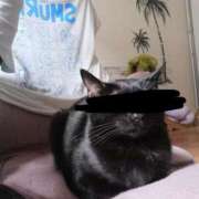 ヒメ日記 2025/11/05 17:00 投稿 はんな ふぞろいの人妻たち