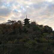 はんな らびゅ(o^^o) ふぞろいの人妻たち