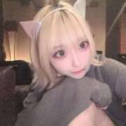 ヒメ日記 2025/10/07 07:30 投稿 猫星にゃん Finemotion