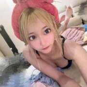 ヒメ日記 2025/10/24 10:30 投稿 猫星にゃん Finemotion