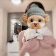 ヒメ日記 2025/11/13 19:46 投稿 はる club Ego