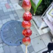 ヒメ日記 2026/01/29 08:02 投稿 寧々/ねね　centu STYLISH BACH