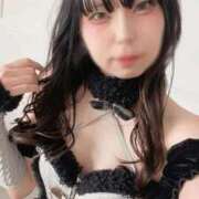 ヒメ日記 2026/01/31 22:12 投稿 寧々/ねね　centu STYLISH BACH