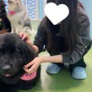 ヒメ日記 2026/04/14 18:19 投稿 寧々/ねね　centu STYLISH BACH