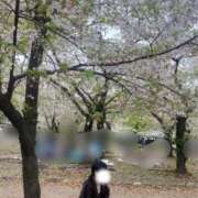 ヒメ日記 2026/04/18 12:52 投稿 寧々/ねね　centu STYLISH BACH