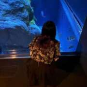 ヒメ日記 2026/09/13 06:22 投稿 寧々/ねね　centu STYLISH BACH