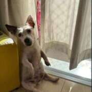 ヒメ日記 2026/10/03 13:22 投稿 寧々/ねね　centu STYLISH BACH