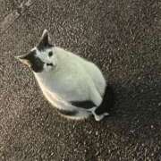 ヒメ日記 2025/10/13 01:31 投稿 有希-ゆき【FG系列】 ほんつま 沼津店 (FG系列)