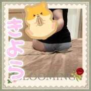 ヒメ日記 2025/11/19 04:58 投稿 きよら クラブダンディー