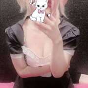 ヒメ日記 2025/10/08 21:05 投稿 めあ メイドde本舗