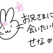 ヒメ日記 2025/10/05 22:11 投稿 藤咲せな 大人めシンデレラ 新横浜店（シンデレラグループ）