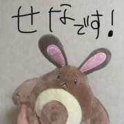 藤咲せな お久しぶりです 大人めシンデレラ 新横浜店（シンデレラグループ）