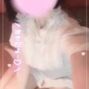 ヒメ日記 2026/05/05 08:50 投稿 きらり ドマーニ