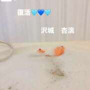 ヒメ日記 2026/01/21 20:52 投稿 沢城 杏璃 大阪貴楼館