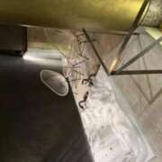 ヒメ日記 2025/10/23 23:57 投稿 RUKA SM東京　新宿店