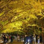 ヒメ日記 2025/11/13 20:49 投稿 RUKA SM東京　新宿店