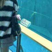 ゆる 次の出勤日~🎶🎀 三重四日市ちゃんこ