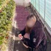 ヒメ日記 2026/02/01 21:01 投稿 ゆる 三重四日市ちゃんこ