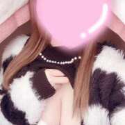 ヒメ日記 2026/02/13 11:01 投稿 ゆる 三重四日市ちゃんこ