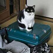 ヒメ日記 2025/11/04 15:01 投稿 もえか アクアマリン