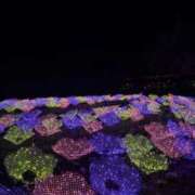 ヒメ日記 2025/11/21 09:20 投稿 あおい Ｓ＆Ｍ　極嬢