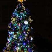 ヒメ日記 2025/12/15 01:20 投稿 あおい Ｓ＆Ｍ　極嬢