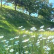 ヒメ日記 2025/12/20 19:20 投稿 あおい Ｓ＆Ｍ極嬢