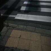 ヒメ日記 2025/12/21 23:23 投稿 あおい Ｓ＆Ｍ極嬢