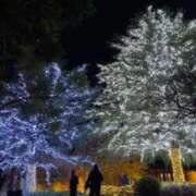 ヒメ日記 2026/01/13 10:10 投稿 あおい Ｓ＆Ｍ極嬢