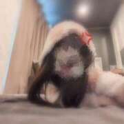 桃瀬　ゆめの☆現役学生Fカップ☆ スイッチが入る瞬間 ～地元厳選美女がお出迎え～私の部屋にキテネ！トレビの泉