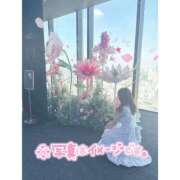 ヒメ日記 2025/10/05 15:08 投稿 みなせ マリン宇都宮店