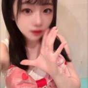 ヒメ日記 2025/11/11 15:06 投稿 みなせ マリン宇都宮店